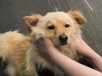 0a2bdc12-68c1-4e9e-907f-4238cd86b19d