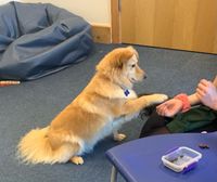 24ED8C6B-187B-423B-8A2F-254B63E5C83D