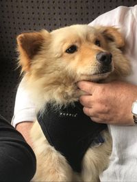 48f863dd-93b8-4fb2-bfe8-db27a8f4dc4d