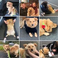 4EA49F74-0907-4C02-BD15-2B97EF2527A3