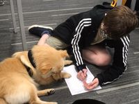 9e1530f1-1c47-47ef-a477-cc500145abee