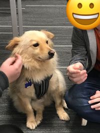 ef029a4d-37a5-4a9b-b77b-2b0669d81f19